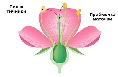 0401tgjn-0daa-400x261.png