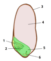 0401tgl5-6a14-105x125.png
