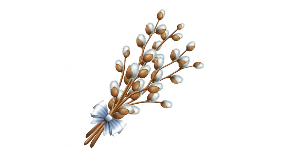 0401tiqc-49d8-940x529.png