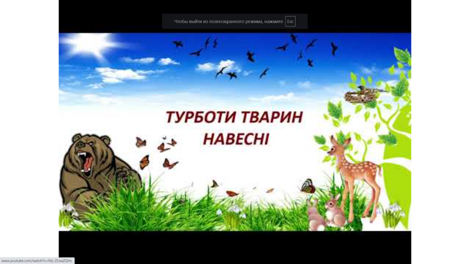 0401tiwb-46ff-940x529.png