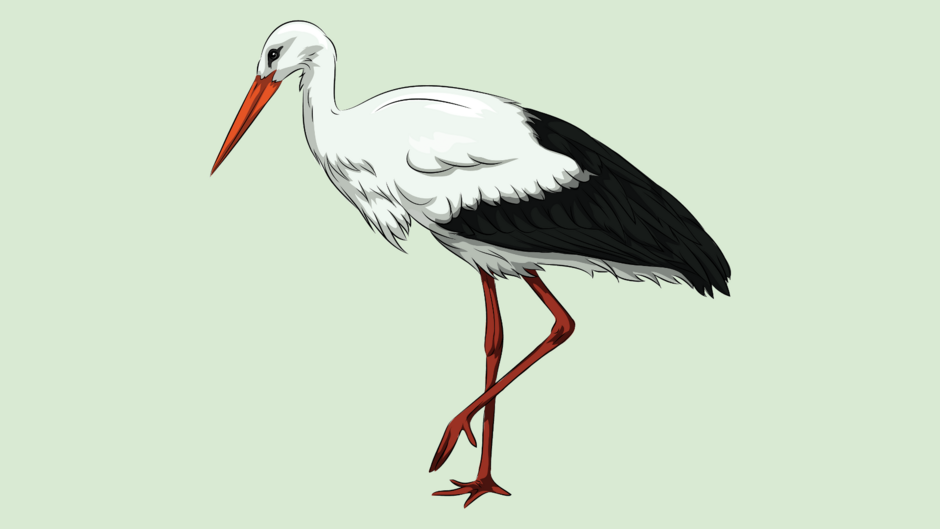 0401tjc7-58ec-940x529.png