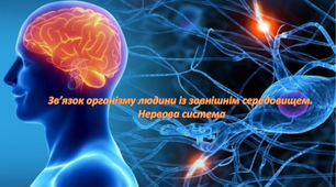 Зв'язок організму людини із зовнішнім середовищем. Нервова система