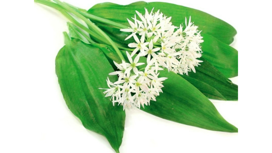 0401tk0d-78a3-940x529.png
