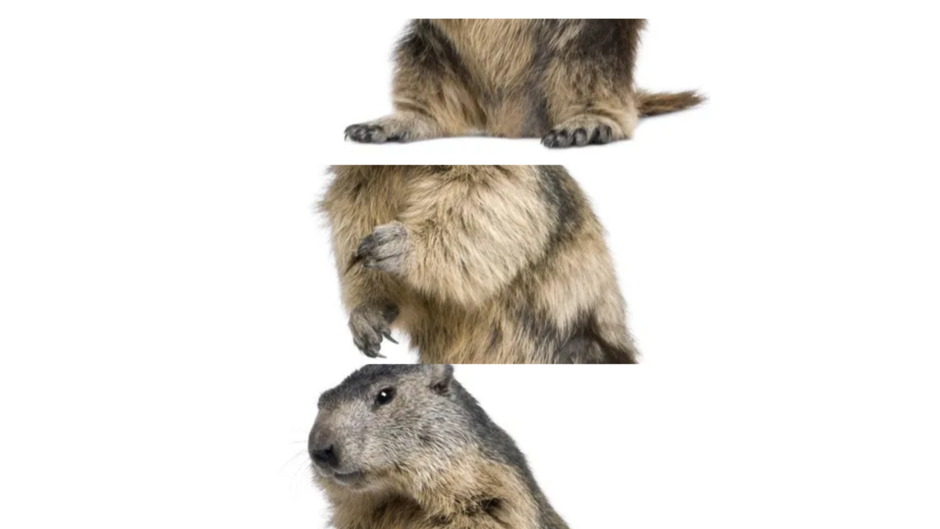 0401tk13-386c-940x529.png