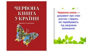 Дистанційне заняття для дітей  дошкільного віку на тему: "Червона Книга України"