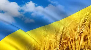 Мої тести