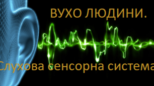 Слухова сенсорна система. Вухо. Гігієна слуху