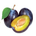 0401tnzp-5cd0-125x124.png