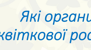 Які органи у квіткової рослини.