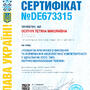 https://fs04.vseosvita.ua/0401tozs-9fec-90x90.jpg