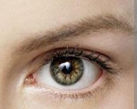 0401tozz-cf69-460x368.jpg