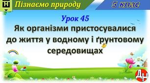 Урок 45. Як організми пристосувалися до життя у водному і ґрунтовому середовищах