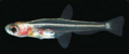 0401tqtu-827a-119x50.png