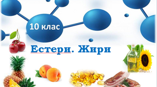 Естери. Жири