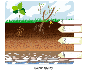 0401tsw6-23e8-380x297.png