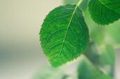0401tu0a-ae27-172x114.jpg