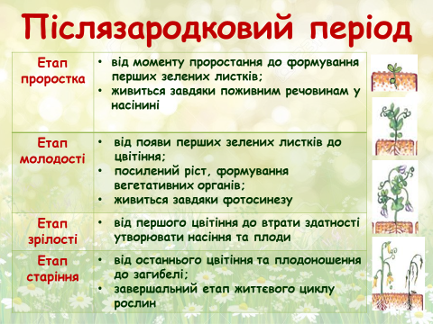 0401tuw7-e02c-480x360.png