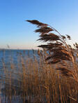 0401tv0n-5e3e-112x147.jpg