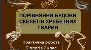 Практична робота 5 Порівняння будови скелетів хребетних тварин