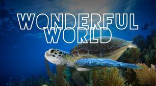45. THE WONDERFUL WORLD
