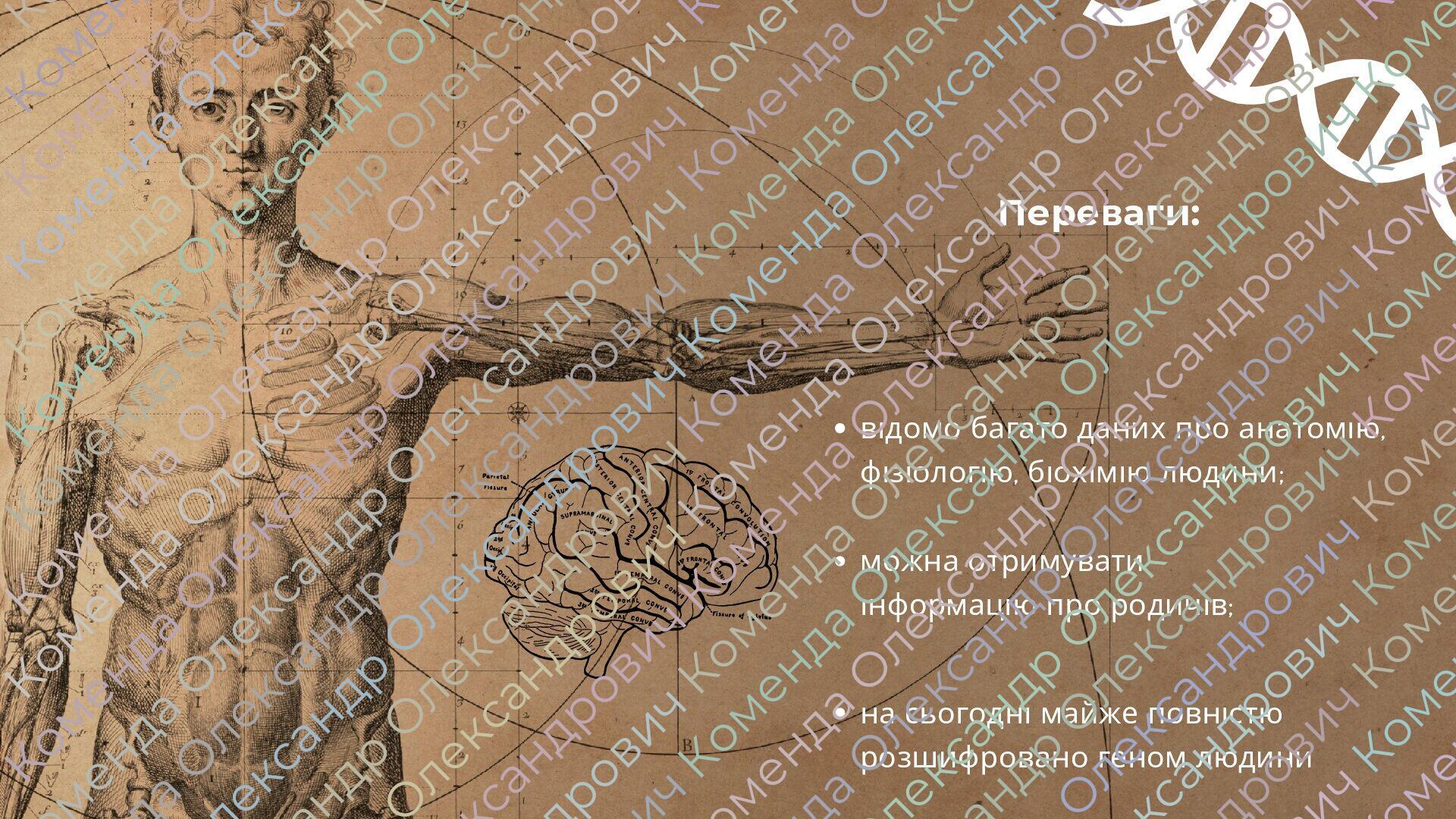 Презентація на тему "Генетика людини" 10 клас | Презентація. Біологія