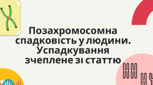Позахромосомна спадковість у людини. Успадкування зчеплене зі статтю.