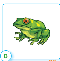 0401tyz7-35a4-197x200.png