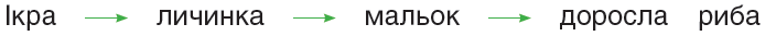 0401tz3c-f57d-704x33.png