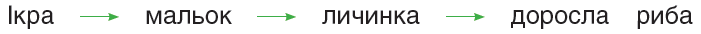 0401tz4c-0ef3-701x34.png