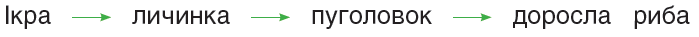 0401tz4l-40b4-699x37.png