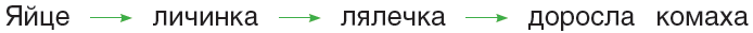0401tz5u-8f5c-694x31.png