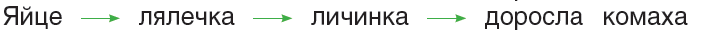 0401tz65-201c-711x33.png