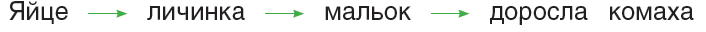 0401tz6c-9e68-706x32.png