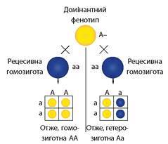 0401tz7i-d49c-241x207.jpg
