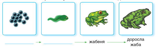0401tz93-1f46-548x168.png