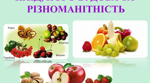  Плід. Поширення плодів