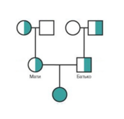 0401u0cx-b7b9-363x350.png