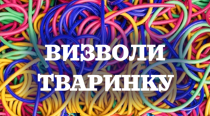 "Визволи тваринку" заняття для малюків