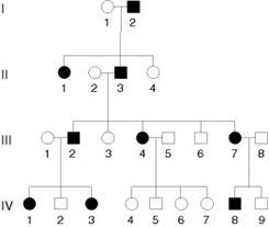 0401u16p-c2ff-245x207.png