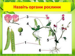 0401u19r-f395-259x194.jpg