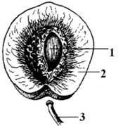 0401u1dn-82b1-168x179.jpg