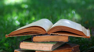 Home Reading: "Dragon Soup" 