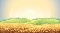 0401u35l-9764-208x114.jpg