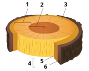 0401u53c-0b23-180x144.png
