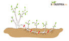 0401u5ww-3deb-137x83.jpg