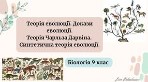 Презентація до уроку Теорія еволюції. Докази еволюції. Теорія Чарльза Дарвіна. Синтетична теорія еволюції. Біологія. 9 клас.