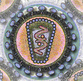 0401ub0i-3fa1-288x281.jpg