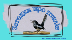 Загадки про птахів