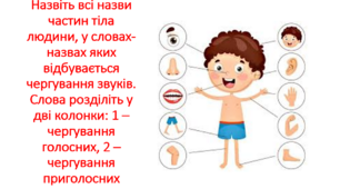 Найпоширеніші випадки чергування голосних та приголосних звуків. Тренувальні вправи