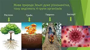 Які особливості будови різних груп організмів.